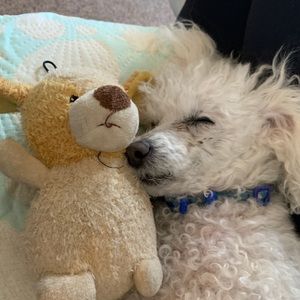 Meet your Posher, Gillian